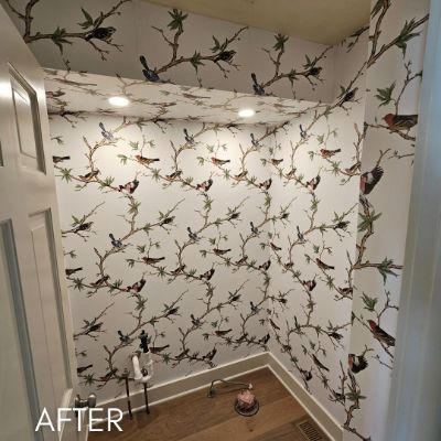 Powder room papered in a birds and branches print