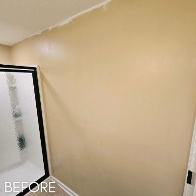 Wallcovering & Wallpaper, before by M. Carlson Painting