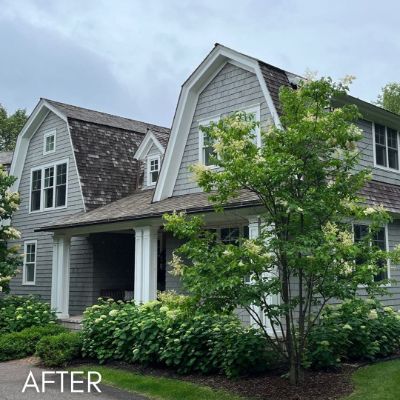 Shingled house in soft gray with white trim behind flowering shrubs