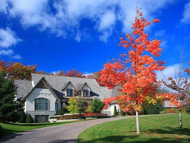 Large house with a steep shingle roof behind a maple in full fall color