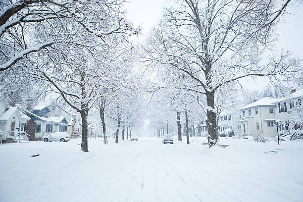 A residential street under heavy snow, the trees and road white over